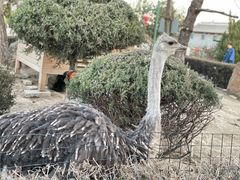 -有喜胶东小馆(超极合生汇太申祥和店)