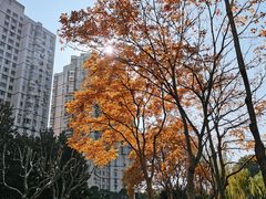 -黄兴公园