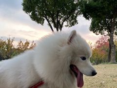 -南翔镇银翔湖公园