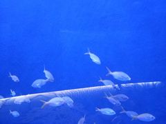 -沈阳海洋探索中心