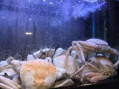 -金唐海鲜酒家