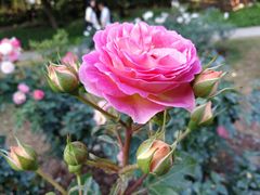 -人民公园(罗湖区)