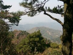 -鲁山国家森林公园