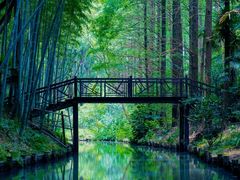 -同里国家湿地公园