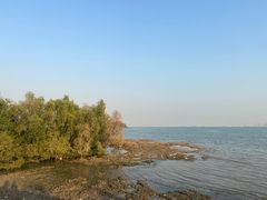 -滨海公园