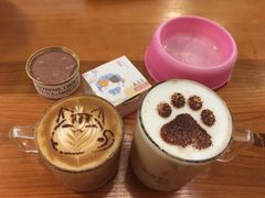 -猫小院猫主题餐厅(三里屯店)