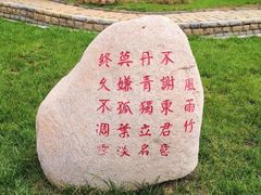 -武清南湖绿博园