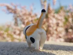 -海棠花溪(元大都城垣遗址公园)
