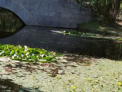 -长白岛森林公园