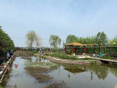 -同銮特种养殖场·龙虾垂钓