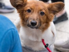 -太平洋数码广场