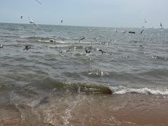 -老虎石海上公园