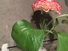 -树下时尚餐厅(翠园街店)