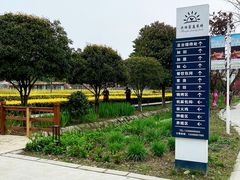 -洪湖家庭农场·团建·露营·会议
