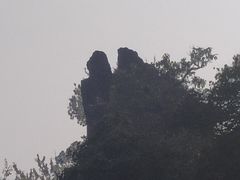 -北京鹫峰国家森林公园