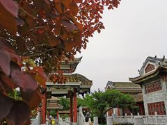 -顺峰山公园