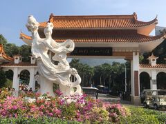 -深圳仙湖植物园
