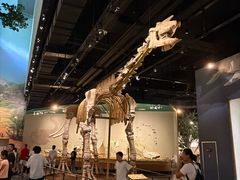 -柳州白莲洞洞穴科学博物馆