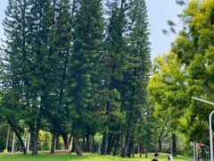 -人民公园(罗湖区)