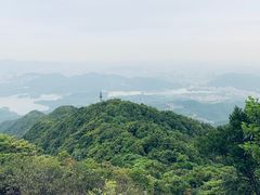 -梧桐山风景名胜区
