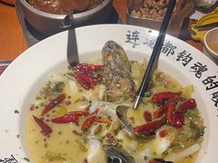 -宋小谨(惠安禹洲店)