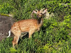 -萍乡武功山风景名胜区