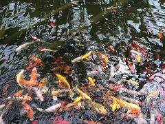 -南通洲际绿博园