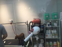 -PETKIT 小佩宠物·低压洗护·美容·寄养(安远店)