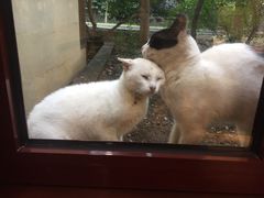 -金石唐风国际温泉会馆