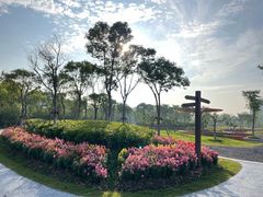 -春花秋色城市公园