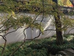 -秋霞圃