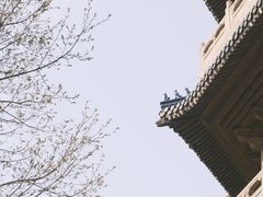 -灵谷景区