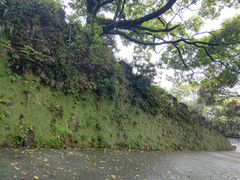 -广州市帽峰山景区