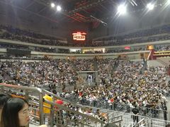 -南京奥林匹克体育中心-体育馆