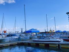 -巧克力渔家.小船海鲜胶东菜(万平口店)