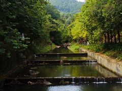 -广州白江湖森林公园