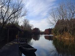 -溱湖国家湿地公园