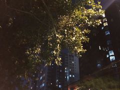 -慈铭体检(北京奥亚分院)