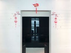 -虹桥机场国航贵宾室v8