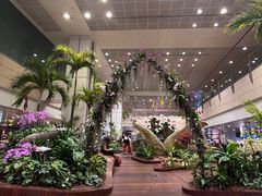 -樟宜机场免税店