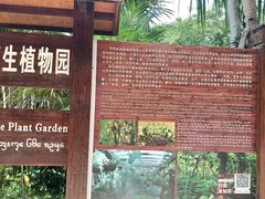 -中国科学院西双版纳热带植物园