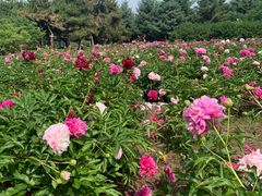 -长春公园(普阳街道)