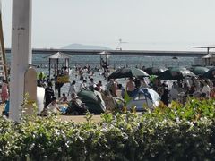 -碧海金沙