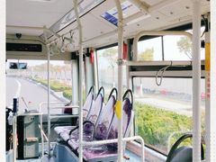 -春花秋色城市公园