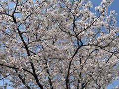 -龙美术馆(西岸馆)