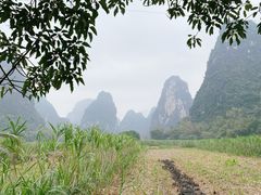 -明仕田园