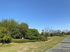 -漩门湾国家湿地公园