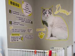 -上海浦东smart汽车全功能店(金桥店)