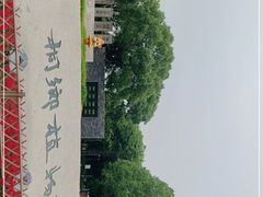-桐乡植物园