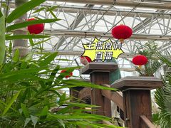 -南宫五洲植物乐园